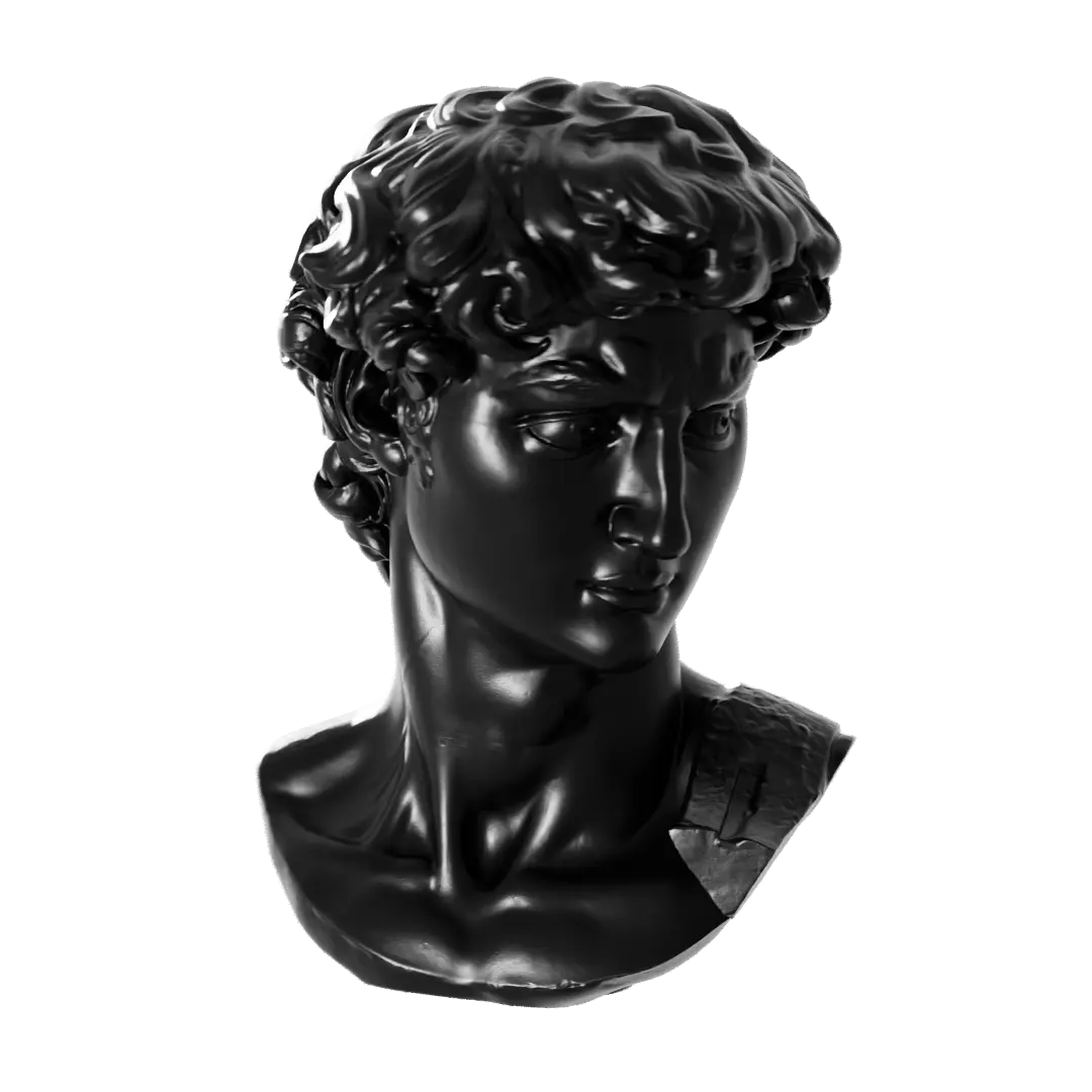 Busto David 3d